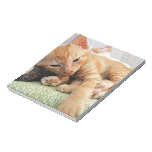 Cute Tiger Stripe Kitten Notitieblok (Linkerzijde)