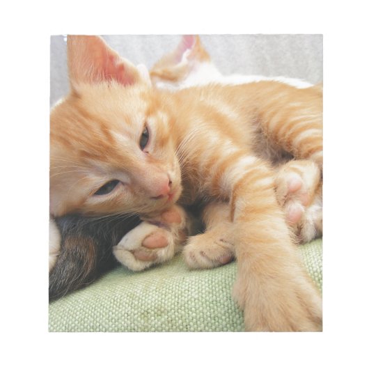 Cute Tiger Stripe Kitten Notitieblok (Voorkant)