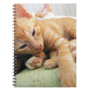 Cute Tiger Stripe Kitten Notitieboek
