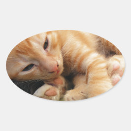 Cute Tiger Stripe Kitten Ovale Sticker