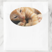 Cute Tiger Stripe Kitten Ovale Sticker (Tas)