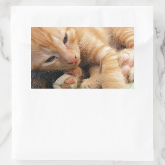 Cute Tiger Stripe Kitten Rechthoekige Sticker (Tas)