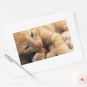Cute Tiger Stripe Kitten Rechthoekige Sticker (Envelop)