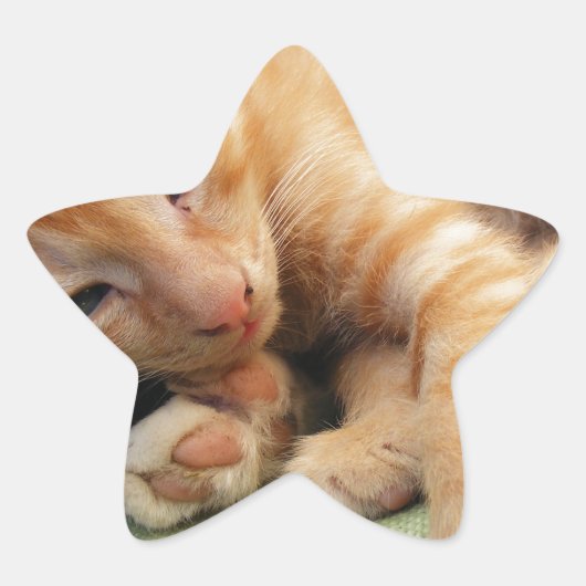 Cute Tiger Stripe Kitten Ster Sticker (Voorkant)