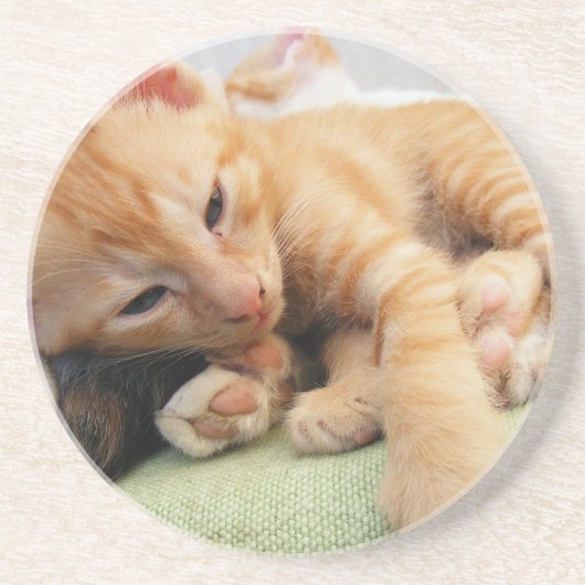 Cute Tiger Stripe Kitten Zandsteen Onderzetter (Voorkant)