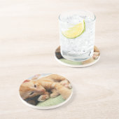 Cute Tiger Stripe Kitten Zandsteen Onderzetter (Zijkant)