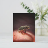 Cute Tiny Baby Toad / Tadpole Briefkaart (Staand voorkant)