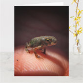 Cute Tiny Baby Toad / Tadpole Kaart (Gele Bloem)