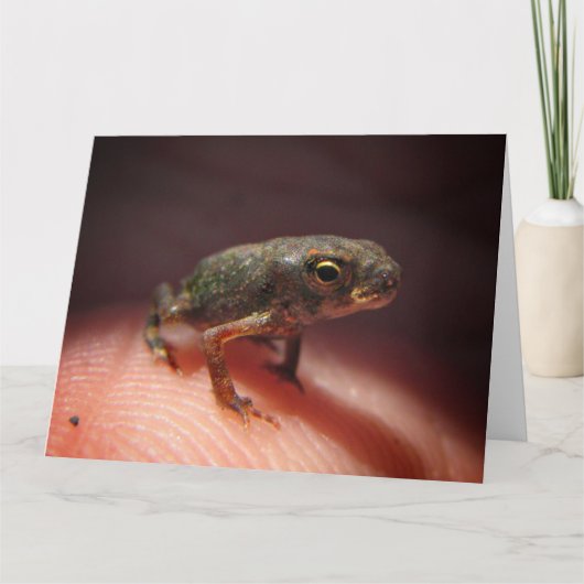 Cute Tiny Baby Toad / Tadpole Kaart (Voorkant)