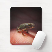 Cute Tiny Baby Toad / Tadpole Muismat (Met muis)