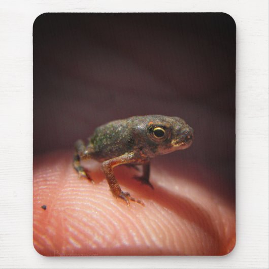Cute Tiny Baby Toad / Tadpole Muismat (Voorkant)