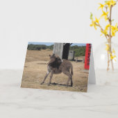 Cute Tiny Donkey Foal Kaart (Gele Bloem)