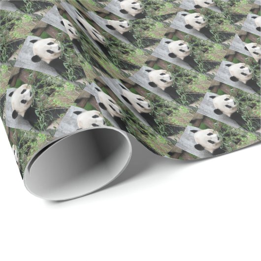 Cute Tiny Pandas, Green Cadeaupapier (Rol Hoek)