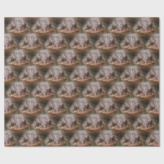 Cute Toad Face Animal Pattern Cadeaupapier (Vlak)