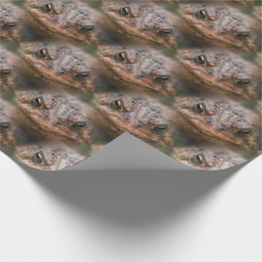 Cute Toad Face Animal Pattern Cadeaupapier (Hoek)