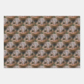 Cute Toad Face Animal Pattern Inpakpapier Vel (Voorkant 2)