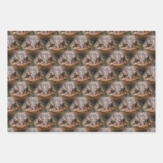 Cute Toad Face Animal Pattern Inpakpapier Vel (Voorkant)