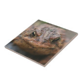 Cute Toad Face Animal Tegeltje (Zijkant)