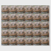 Cute Toad Frog Face Birthday Cadeaupapier (Vlak)