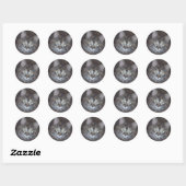 Cute Torbie Kitten Ronde Sticker (Vel)