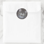 Cute Torbie Kitten Ronde Sticker (Tas)