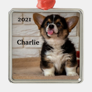 Cute Tri color Pembroke Welsh Corgi Puppy Dog Metalen Ornament