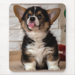 Cute Tri color Pembroke Welsh Corgi Puppy Dog Muismat