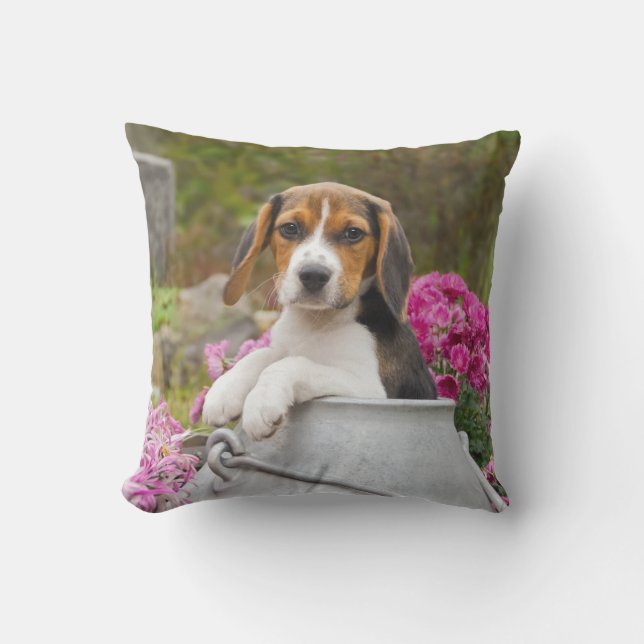 Cute Tricolor Beagle Dog Puppy in een Churn - Buitenkussen (Voorkant)