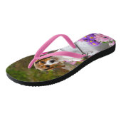 Cute Tricolor Beagle Dog Puppy in een melkkok - Teenslippers (Schuin)