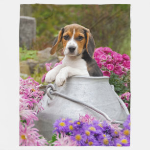 Cute Tricolor Beagle Dog Puppy in Milk Churn soft Fleece Deken