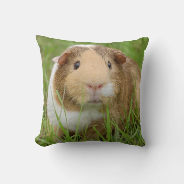 Cute Tricolor Guinee Pig in Green Grass Kussen (Voorkant)