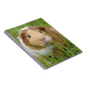 Cute Tricolor Guinee Pig in Green Grass Notitieboek (Rechterzijde)