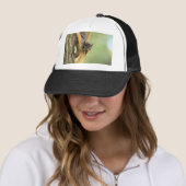 Cute Trucker Pet (In situ)
