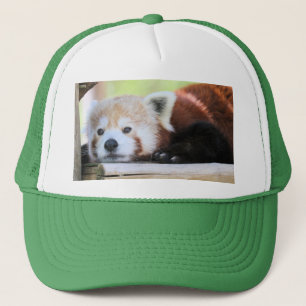 Cute Trucker Pet