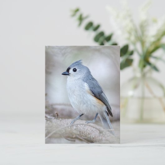 Cute Tufted Titmouse Briefkaart (Staand voorkant)
