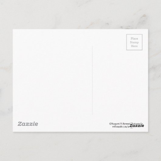 Cute Tufted Titmouse Briefkaart (Achterkant)