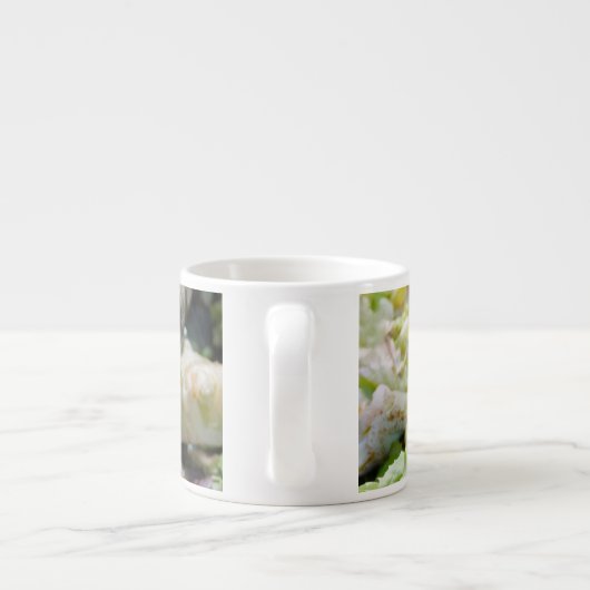 Cute Turtle Espresso Kop (Achterkant)