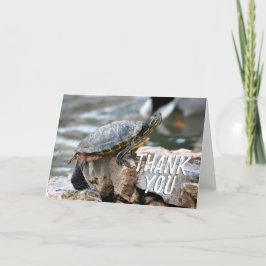 Cute Turtle-foto bedankkaart