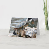 Cute Turtle-foto bedankkaart (Voorkant)