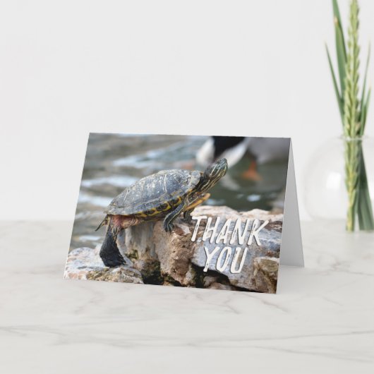 Cute Turtle-foto bedankkaart (Voorkant)