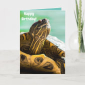 Cute Turtle Happy Birthday Card Kaart (Voorkant)