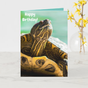 Cute Turtle Happy Birthday Card Kaart