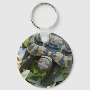 Cute Turtle Sleutelhanger