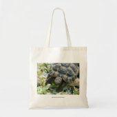Cute Turtle Tote Bag (Voorkant)