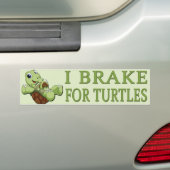 Cute Turtles - I remmen voor schildpadden Bumpersticker (Op auto)