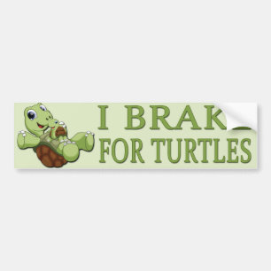 Cute Turtles - I remmen voor schildpadden Bumpersticker