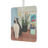 Cute Tuxedo Cat Black White Cats Floral Daffodil Luchtverfrisser (Links)