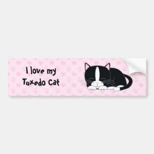Cute Tuxedo Cat Bumpersticker