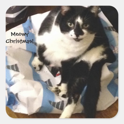 Cute Tuxedo Cat Cadeau Meowy Kerst stickers (Voorkant)