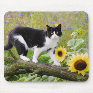 Cute tuxedo cat op een boomtak met zonnebloemen - muismat
